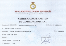 Certificado de actitud de campeonato (C.A.C) Barceclona-Vic